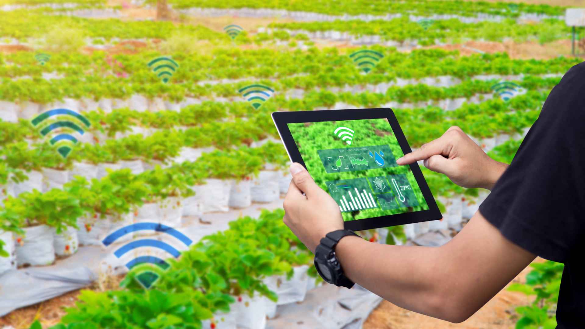 Smart farming: The future of sustainable agriculture